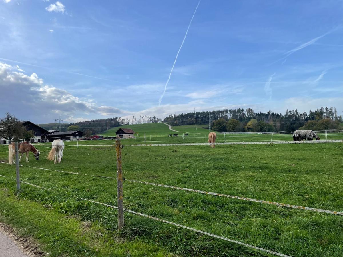 Ferien Im Schwarzwald - Ruhe & Naturverbunden Weilheim Luaran gambar