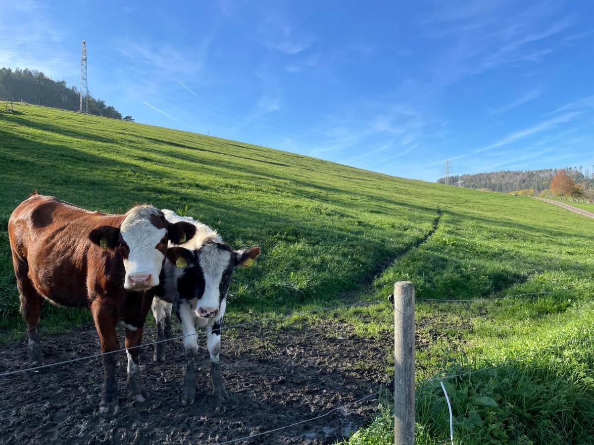 Ferien Im Schwarzwald - Ruhe & Naturverbunden Weilheim Luaran gambar