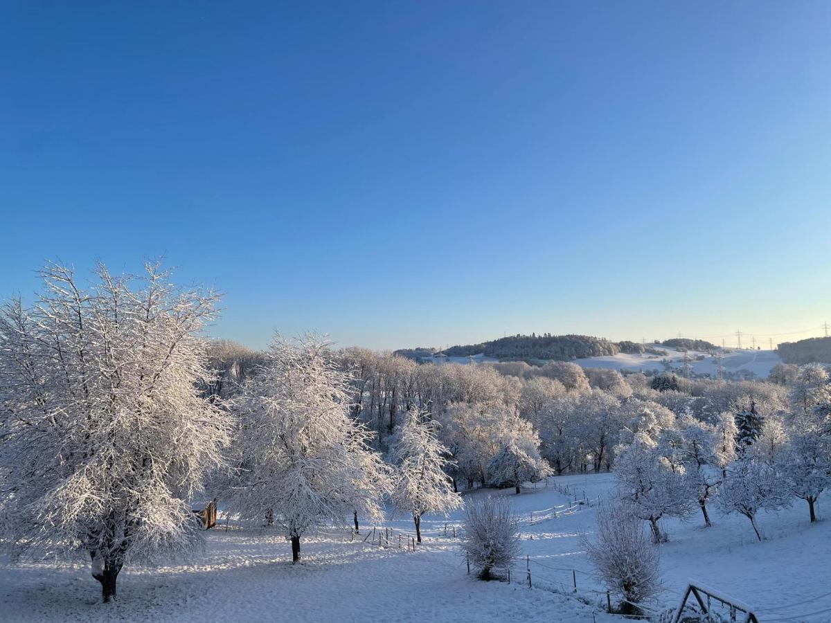 Ferien Im Schwarzwald - Ruhe & Naturverbunden Weilheim Luaran gambar