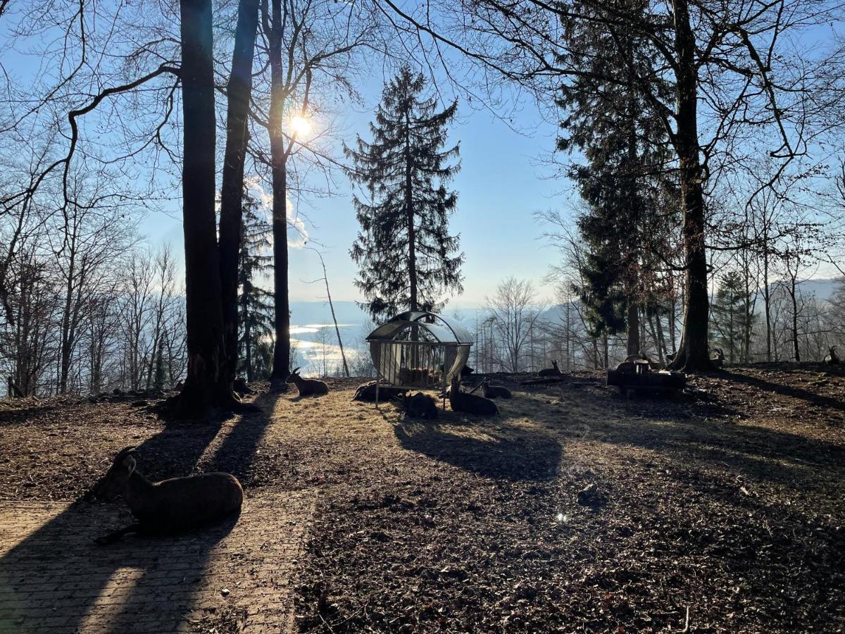 Ferien Im Schwarzwald - Ruhe & Naturverbunden Weilheim Luaran gambar