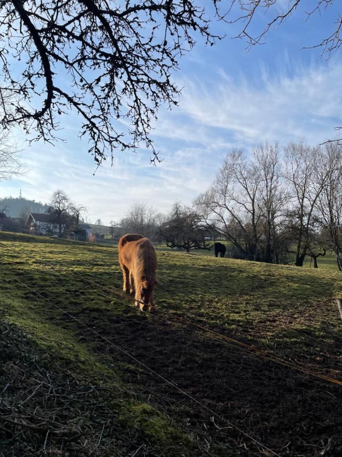 Ferien Im Schwarzwald - Ruhe & Naturverbunden Weilheim Luaran gambar